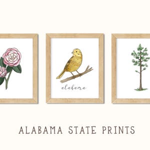 May include: Three framed art prints featuring watercolor illustrations. The prints depict a pink camellia flower, a yellow bird perched on a branch, and a green tree. The text "alabama" is under the bird. The words "ALABAMA STATE PRINTS" are at the bottom.