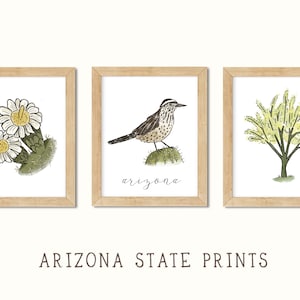 Arizona Wall Art - Arizona State bird, Tree, Flower | Arizona Print, Cactus Wren, Palo Verde