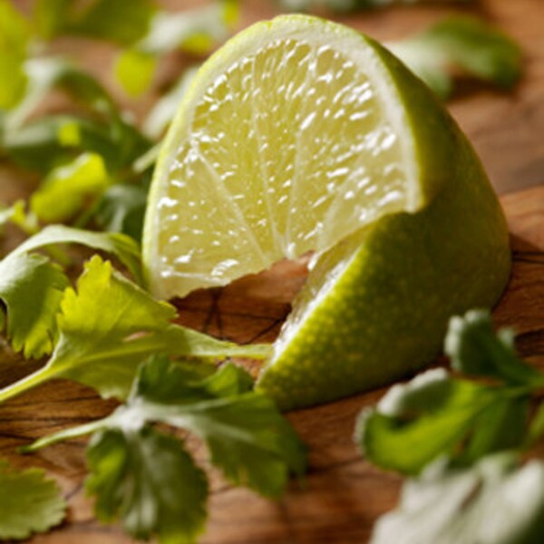 Cilantro Candle Etsy