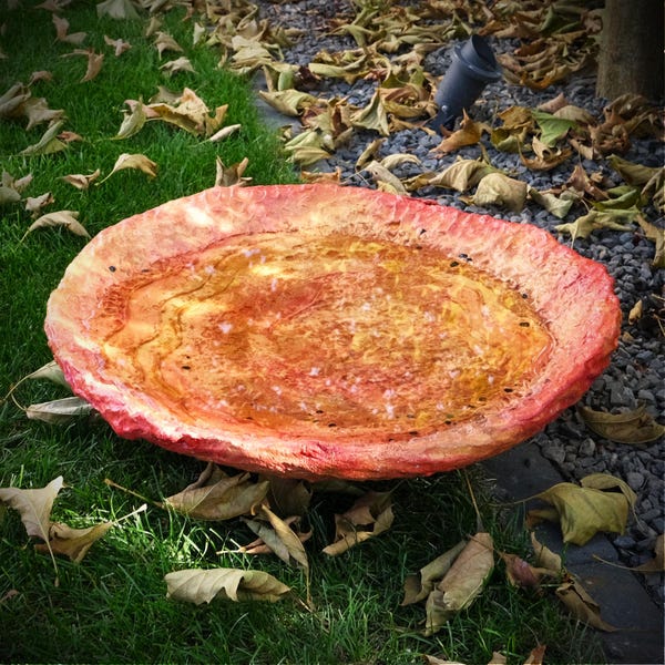 Bird Bath Outdoor - Etsy