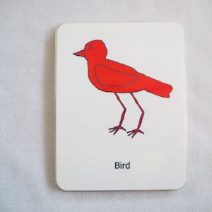 Parts of the Bird