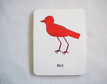 Parts of the Bird