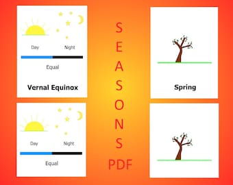 Seasons PDF Downloadable Activity
