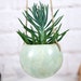 see more listings in the Small planters section