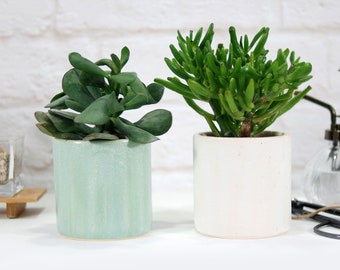 Matte white or mint ceramic planter pot | modern planter pot for succulent, cactus | minimalist desk decor | terrarium | plant lover gift