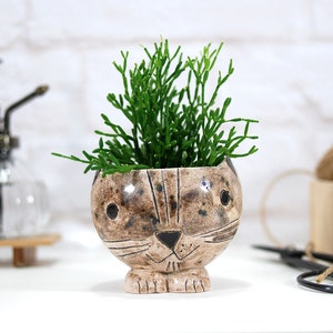 かわいい手描きの猫の顔が付いたミニセラミックプランターポット / サボテン、多肉植物、エアプランツ用のセラミックプラントハンガー | 動物の装飾 | 猫のギフト