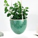 see more listings in the Medium planters section