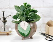 Modern ceramic planter for succulent, cactus, air plants planter pot with hand carved leaf texture farmhouse decor garden gift