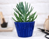 Modern ceramic planter for succulent, cactus, air plants mini planter pot for succulent, cactus, air plant desk decor garden gift