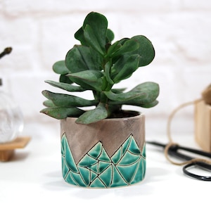 Op de afbeelding: Een kleine vetplant in een keramische pot met een geometrisch ontwerp. De pot is bruin met een turquoise geometrisch patroon.