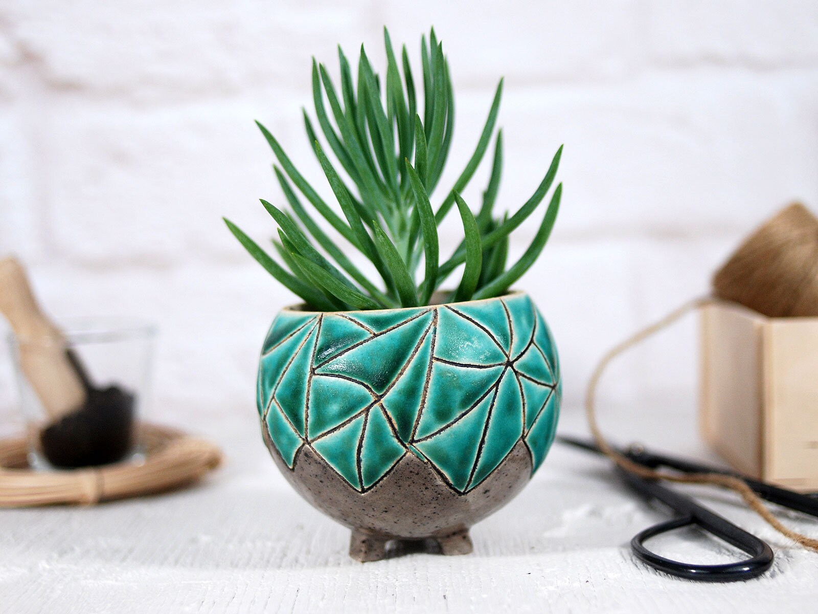 Jardinière en Céramique Moderne Pour Plantes Succulentes, Cactus, Air // Mini Pot de Jardinière avec