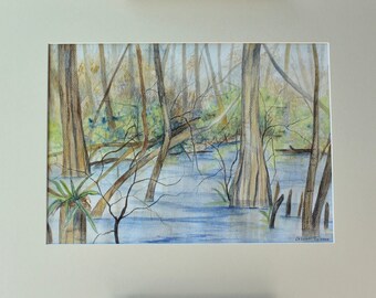 Original Watercolor Art Corkscrew Swamp Sanctuary