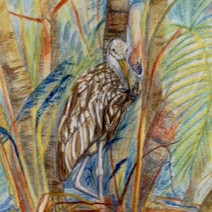 Original Watercolor Wood Panel Resting Limpkin