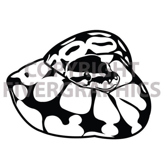 The Original Ball Python Decal Etsy