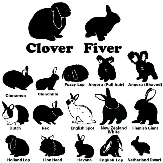 Free Free Lionhead Rabbit Svg 231 SVG PNG EPS DXF File