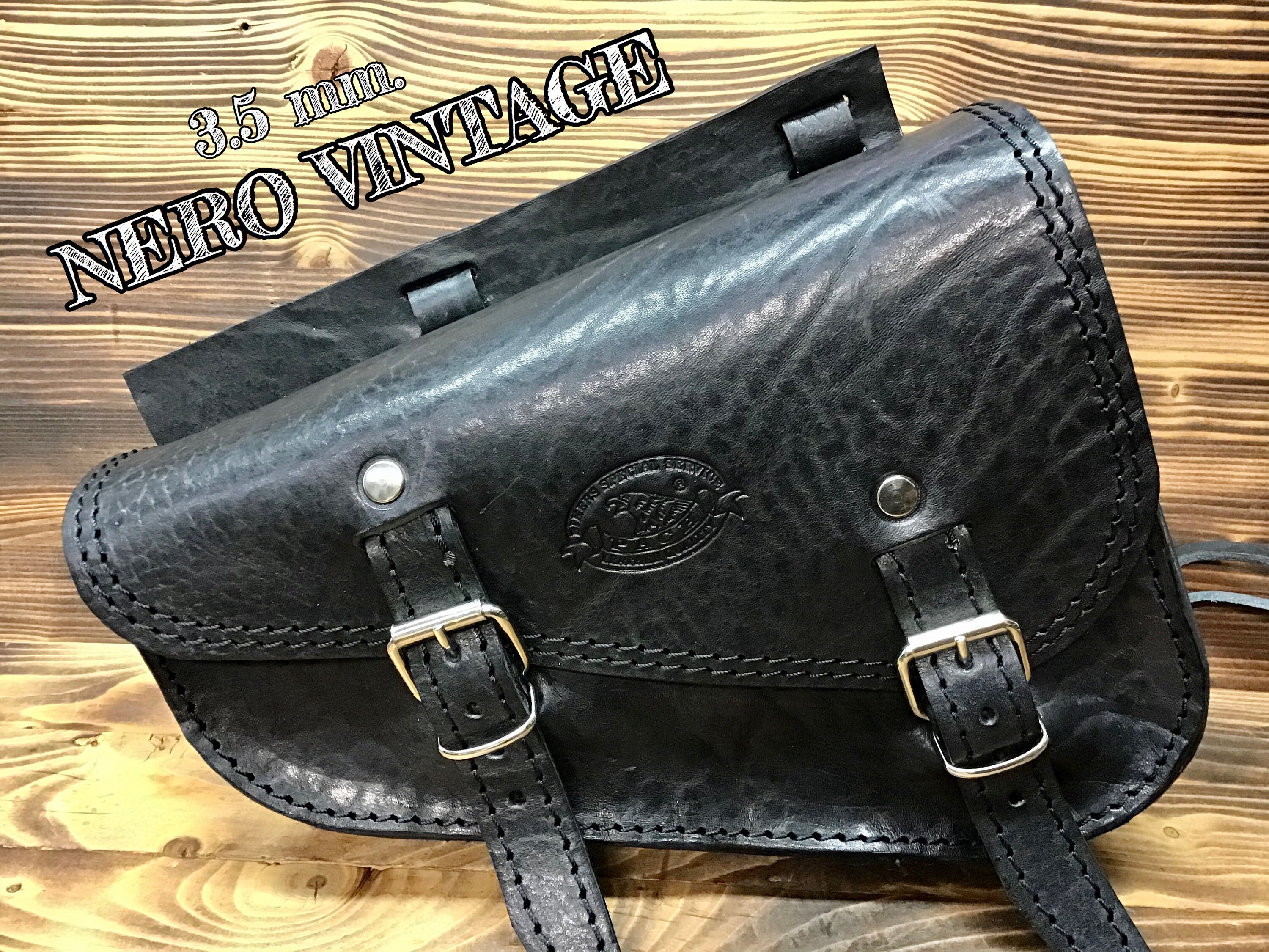 harley davidson iron 883 bags