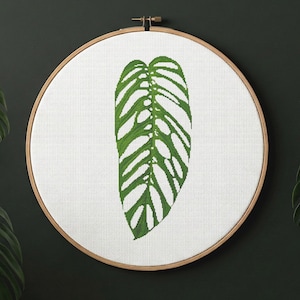 May include: A cross-stitch pattern of a green Monstera Esqueleto leaf. The leaf is displayed on white fabric within a wooden embroidery hoop. The text "MONSTERA ESQUELETO" and "CROSS STITCH PATTERN" are above and below the hoop. The background is dark green.