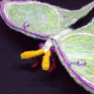 Luna Moth. NEW. Soft Sculpture, Needle Felted Insect, Fibreart, Art ...