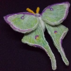 Luna Moth. NEW. Soft Sculpture, Needle Felted Insect, Fibreart, Art ...