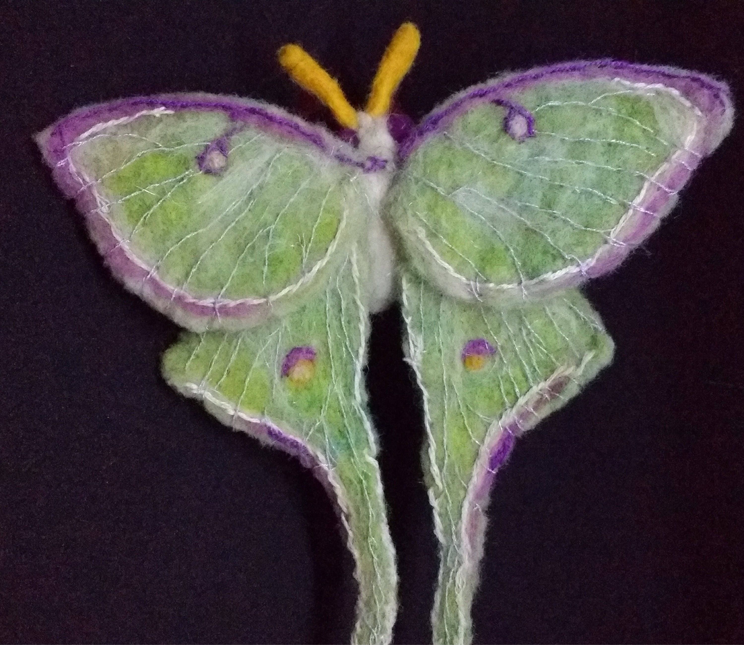 Luna moth. NEW. Soft sculpture needle felted insect Etsy