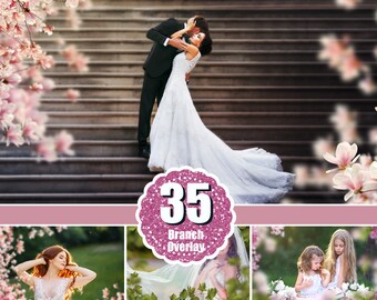 overlays photoshop overlay fabric flying dress branch file flowing grass bride leaf flower tree spring children summer baby magic christmas