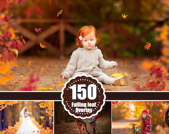 150 falling leaves Photo Overlays, Photoshop Mix Overlays, Autumn Overlays, Falling Leaves Photo Effect, realistic Autumn, png file