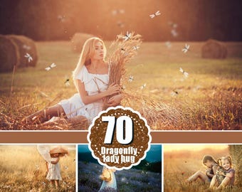 70 Dragonfly butterfly ladybug overlay. Magic fairy Photoshop overlay. Gold firefly sparkle fairy lights photo effect, Dragonfly clipart png