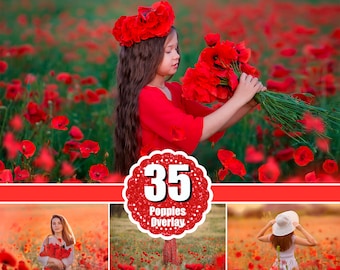 35 rote Mohnblumen Overlays, Mohnblumen Foto Overlay, Sommer Blumenfeld, Photoshop Digitale Hintergründe, Digitaler Download, Kunst gemalte Blume png