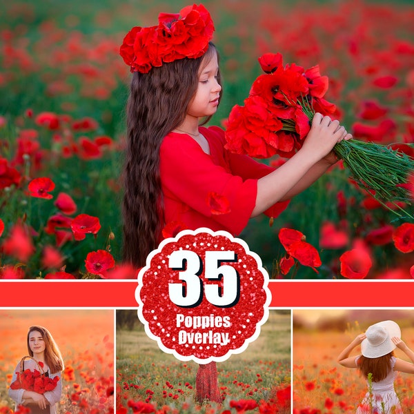 35 rote Mohnblumen Overlays, Mohnblumen Foto Overlay, Sommer Blumenfeld, Photoshop Digitale Hintergründe, Digitaler Download, Kunst gemalte Blume png