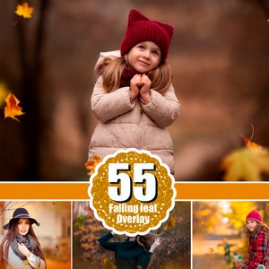 55 falling leaves  Overlays, Photoshop Mix Overlays, Photo Prop, Autumn texture, fall leaves, realistic, natural look, png file