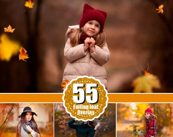 55 falling leaves  Overlays, Photoshop Mix Overlays, Photo Prop, Autumn texture, fall leaves, realistic, natural look, png file