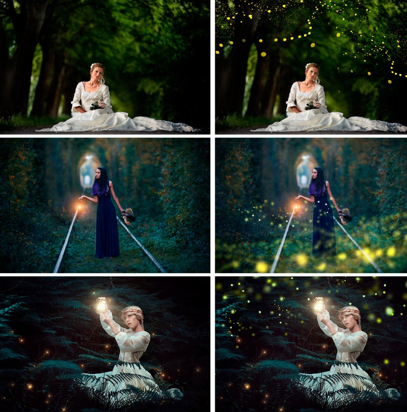 20 Firefly overlays Overlay fireflies firefly Etsy