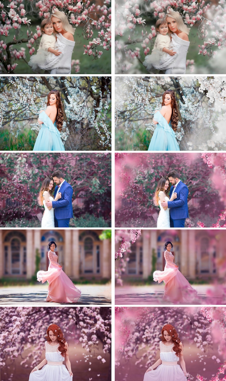 35 Blooming Spring Branch Overlays, Cherry Blossom Overlay, Flowering ...