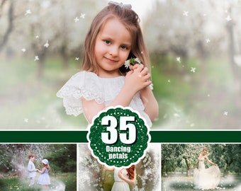 35 White Blossom petals, spring summer orchard overlays, Photoshop overlay, Painted Photo frame, Dancing Rose Flower Falling Petals, png