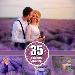 35 Lavender photo overlays, flower summer spring overlays, Digital Backgrounds, shooting through, romantic natural effect, Fine Art, png