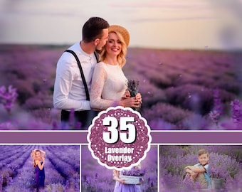 35 Lavendel-Foto-Overlays, Blumen-Sommer-Frühlings-Overlays, digitale Hintergründe, Durchschießen, romantischer natürlicher Effekt, Bildende Kunst, png