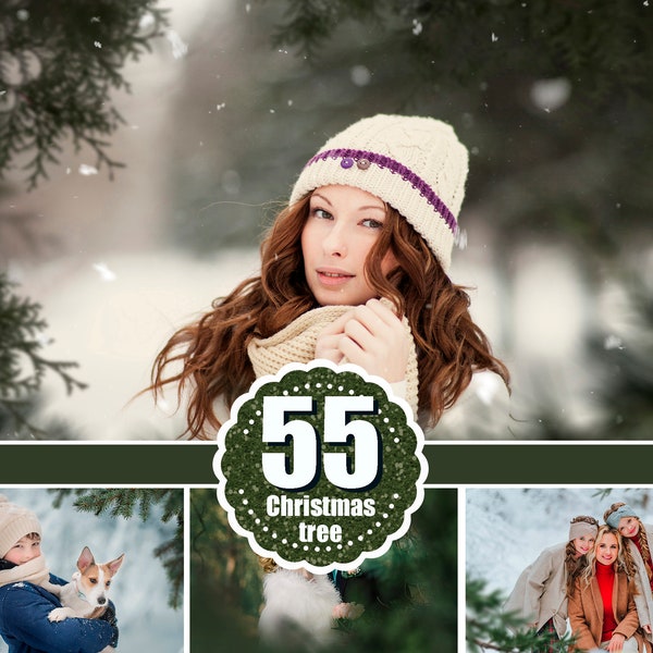 55 Christmas Tree Branch Photo overlays, Pine green fir branch, winter New Year, holiday, xmas, photo sessia, leaf, Сhristmas backdrop PNG