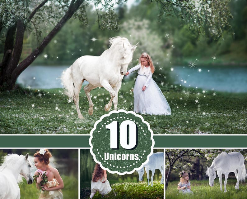 10 Majestic unicorn horse overlays realistic animal white image 0