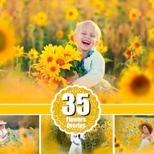 35 Sunflower Overlays, Flower summer overlays, Digital backdrop, Photoshop overlay, Sunflower flower frame border, Photo editing, png