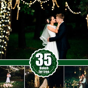 35 bokeh for tree, tree lights, Photoshop overlays, photo overlay, golden magic shine bokeh, light overlays, sparkles effect, jpg file