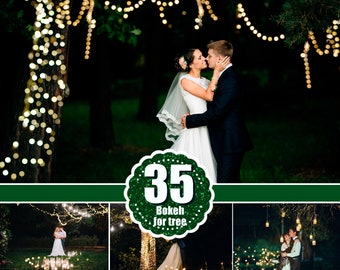 May include: A couple in wedding attire kisses under a tree decorated with string lights. The image includes a green circle with the text "35 Bokeh for tree".