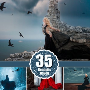 35 Raven bird photo overlay, Crow birds overlays, Photoshop overlay, Realistic flying bird clipart clip art, Animal overlay, png