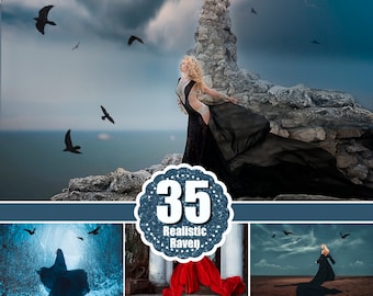 35 Rabenvogel Foto Overlay, Krähen Vögel Overlays, Photoshop Overlay, Realistischer fliegender Vogel Clipart Clip Art, Tier Overlay, png