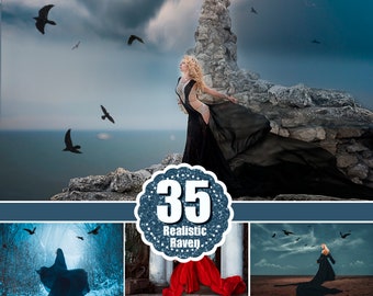 35 Raven bird photo overlay, Crow birds overlays, Photoshop overlay, Realistic flying bird clipart clip art, Animal overlay, png