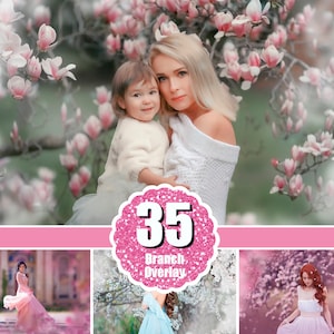 35 開花する春の枝のオーバーレイ、桜のオーバーレイ、花の咲く木、春のペイント、写真レイヤー、写真家向けのぼかし写真、png