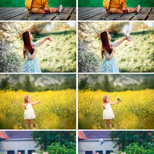 May include: A collage of four images featuring children interacting with birds. The top left image shows a child in a yellow jacket reaching out to a bird. The top right image shows a child in a yellow jacket reaching out to a bird. The bottom left image shows a child in a white dress reaching out to a bird. The bottom right image shows two children in blue shirts and yellow rain boots reaching out to a bird.