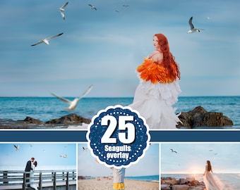 25 Bird seagull overlay, Realistic flying Seagull overlays, Photoshop overlay, Animals overlay, Bird overlay overlays clipart clip art, png