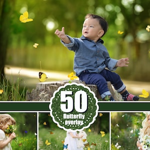 50 Butterfly Photo Overlay, Realistic flying butterfly overlays, Photoshop overlay, butterflies clip art clipart, Photo overlay, png
