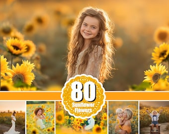 80 Sunflower Overlays, Flower summer overlay, Digital backdrop, Photoshop overlay, Sunflower flower frame border, Photo editing, png