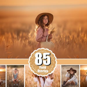 May include: A digital collection of 85 field overlay images featuring various scenes of children in wheat fields at sunset, including portraits with straw hats, baskets, and rustic clothing, presented as a composite display with text 85 Field Overlay.